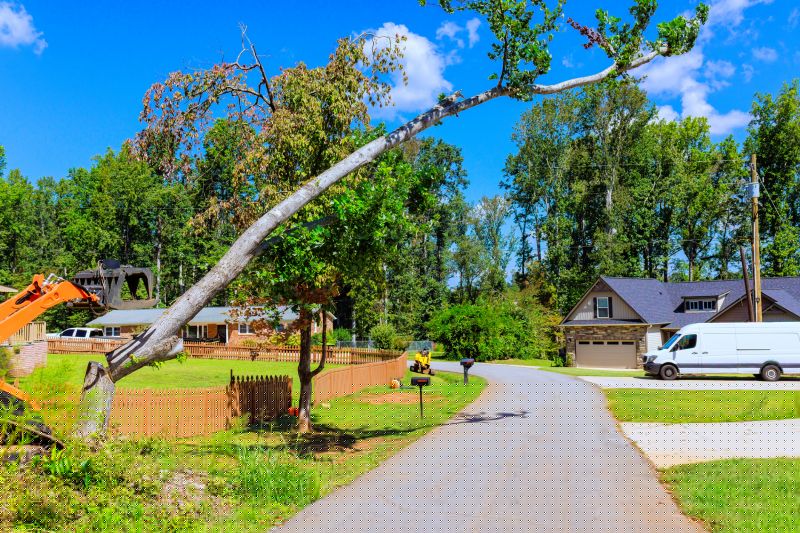 Commercial Leaf Removal