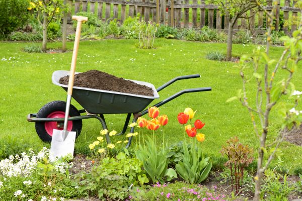 Spring Yard Cleanup in Greenfield