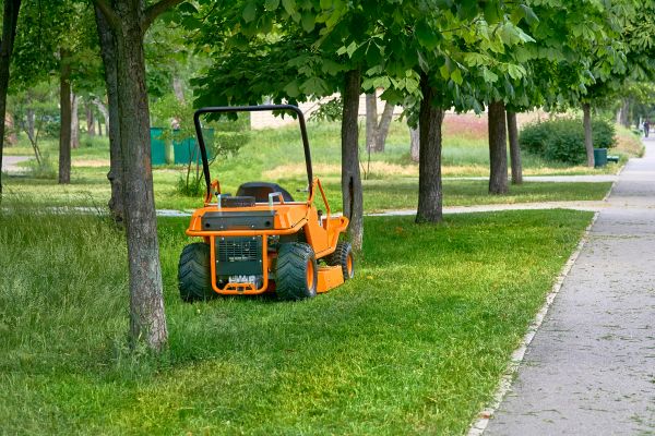 Landscaping Cleanup Service in Greenfield