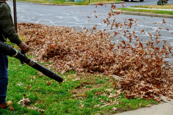 Garden Leaf Removal in Greenfield