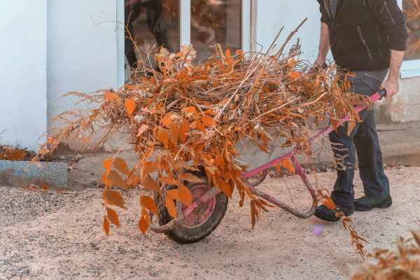 Cost of Lawn Debris Cleanup in Greenfield