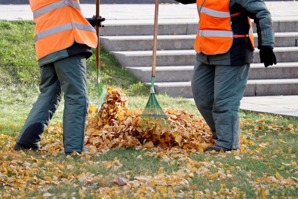 Cost of Leaf Hauling Service in Greenfield