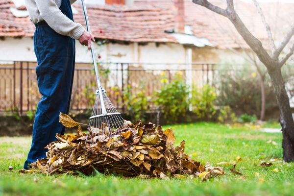 Fall Yard Cleanup Service in Greenfield