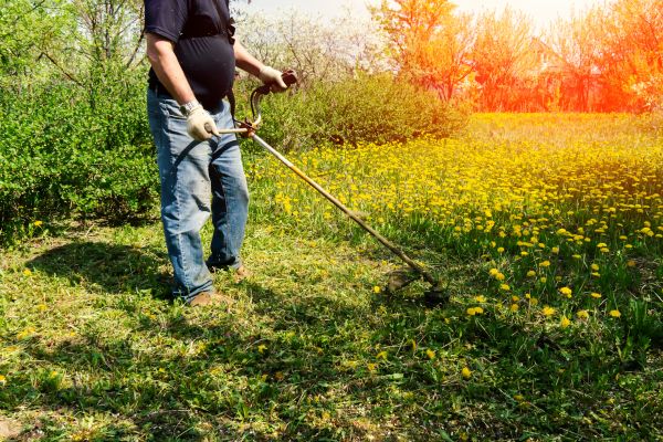 Cost of Yard Clearing Service in Greenfield