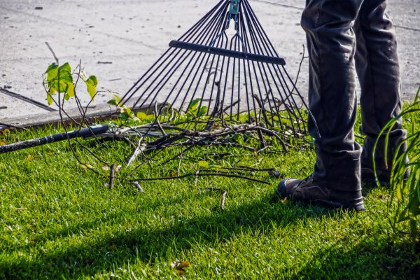 Yard Debris Cleanup in Greenfield